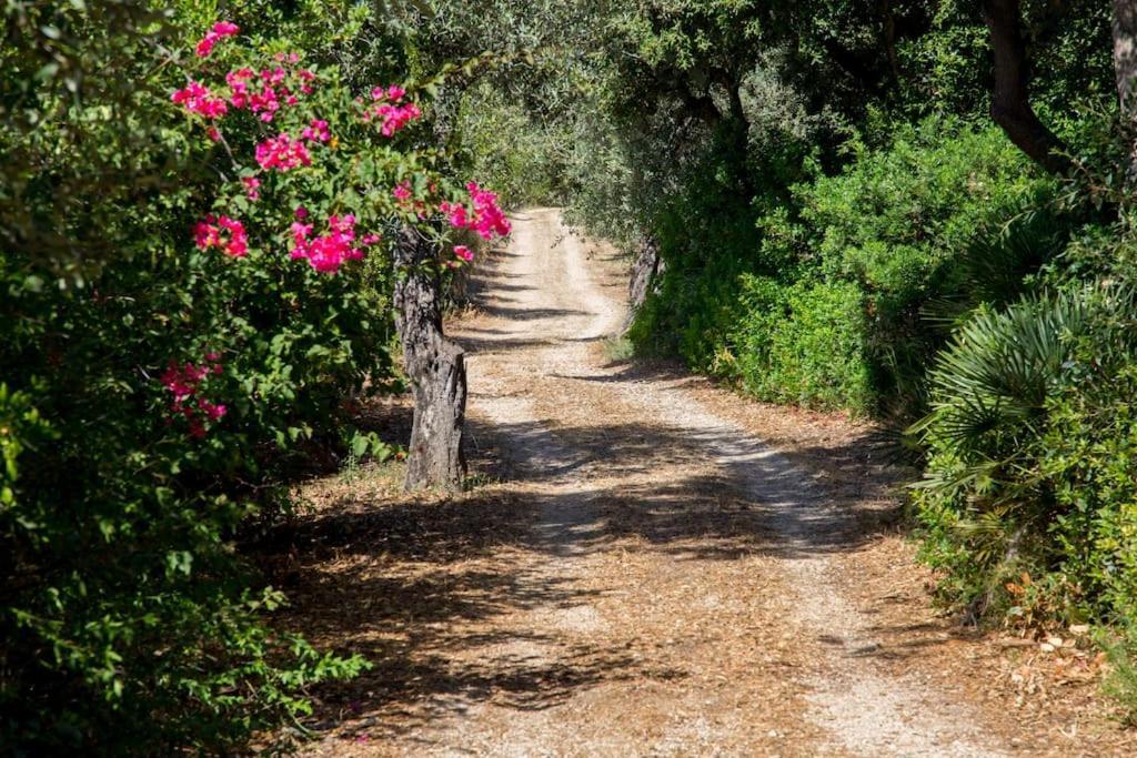 Villa Tramonto Alghero Ngoại thất bức ảnh