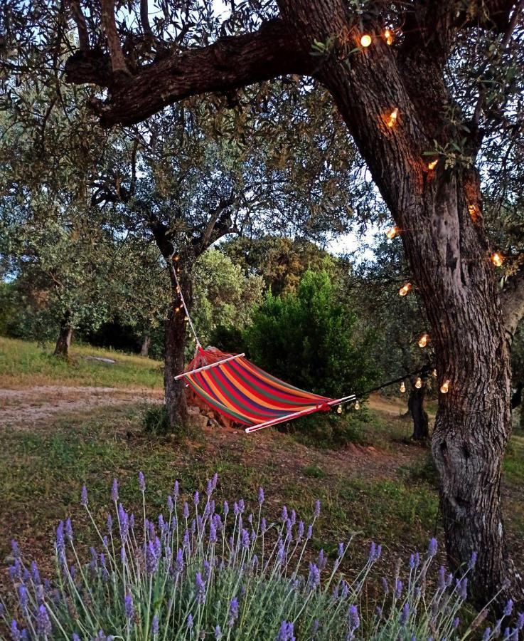 Villa Tramonto Alghero Ngoại thất bức ảnh